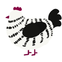 A white and black chicken with a bar pattern