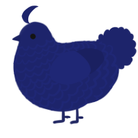 A navy chicken with a lace pattern