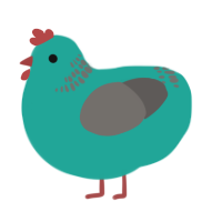 A turquoise and grey chicken with a neck-band pattern