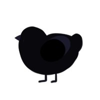 A white chicken