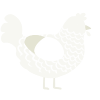 A white chicken with a lace pattern