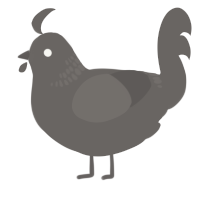 A grey chicken with a neck-band pattern