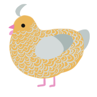 A honey and silver chicken with a double-lace pattern