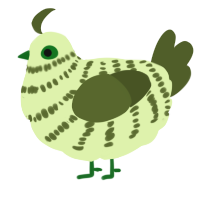 A apple and olive chicken with a bar pattern