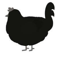 A black chicken with a lace pattern
