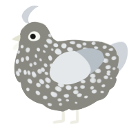 A ash and mist chicken with a speckle pattern