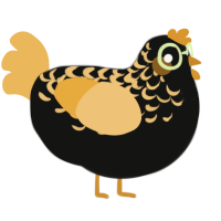 A black and honey chicken with a half-lace pattern