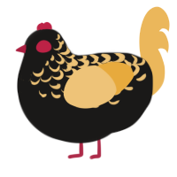A sable and honey chicken with a half-lace pattern
