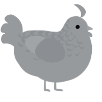A grey chicken with a half-lace pattern