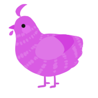 A orchid chicken with a bar pattern