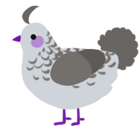 A mist and grey chicken with a half-lace pattern