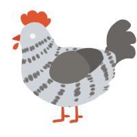 A mist and grey chicken with a bar pattern