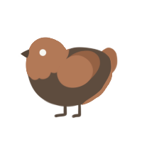 First Second Turd, a bark chicken