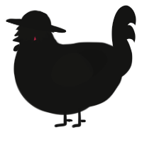 A black chicken