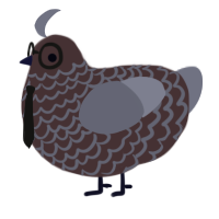 A silver and ash chicken with a lace pattern