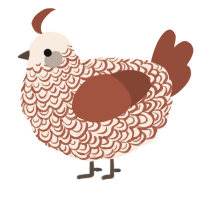 A cream and russet chicken with a double-lace pattern