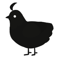 A black chicken with a head pattern