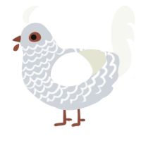 A mist and white chicken with a lace pattern