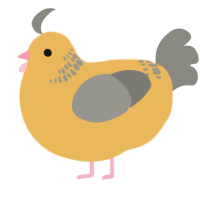 A honey and ash chicken with a neck-band pattern