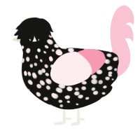 A black and rose chicken with a speckle pattern