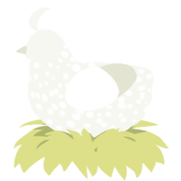 A white chicken with a speckle pattern