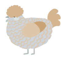 A mist and beige chicken with a lace pattern