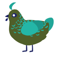 A olive and turquoise chicken with a half-lace pattern