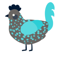 A grey and aqua chicken with a speckle pattern