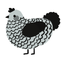 A silver and black chicken with a lace pattern