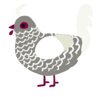 A ash and white chicken with a lace pattern