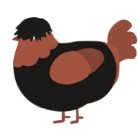A sable and russet chicken with a head pattern