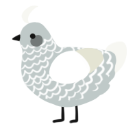 A silver and white chicken with a lace pattern