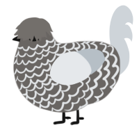 A grey and mist chicken with a lace pattern