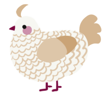 A white and beige chicken with a lace pattern