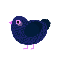 A navy and tumblr chicken with a lace pattern