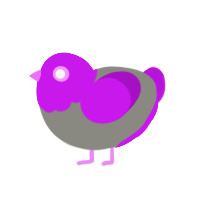 Scrimbly, a ash and amethyst chicken with a head pattern