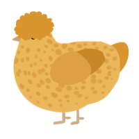 A honey and orange chicken with a speckle pattern