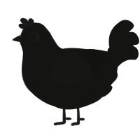 A black chicken