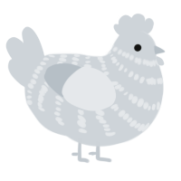 A mist chicken with a bar pattern