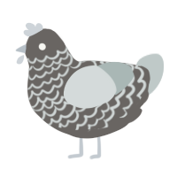 A grey and silver chicken with a lace pattern
