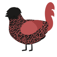 A sable and red chicken with a double-lace pattern