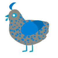A ash and sapphire chicken with a speckle pattern