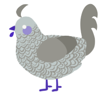 A silver and ash chicken with a double-lace pattern