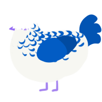 A white and ultramarine chicken with a half-lace pattern