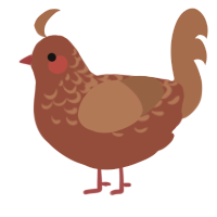 A russet and brown chicken with a half-lace pattern