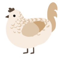 A cream and beige chicken with a half-lace pattern