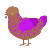 Impy, a brown and amethyst chicken with a speckle pattern