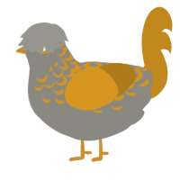 A ash and ochre chicken with a half-lace pattern