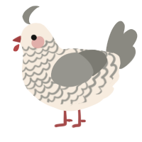 A cream and ash chicken with a lace pattern