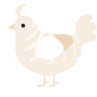 A cream chicken with a half-bar pattern